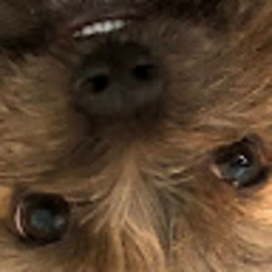 Meet your Posher, Augustine connolly